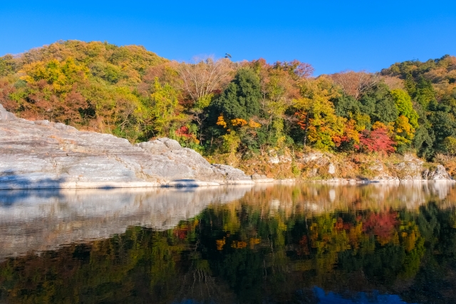 秩父銘仙が生まれた背景