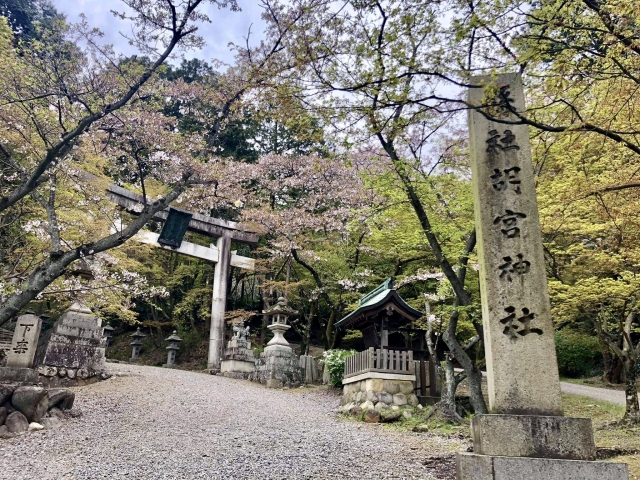 胡宮神社社務所庭園｜国指定名勝の美しい日本庭園の魅力と見どころ、拝観案内を詳しく解説