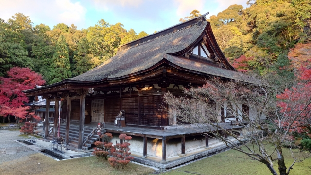 西明寺本坊庭園「蓬萊庭」｜国指定名勝の美しい日本庭園の魅力と見どころ、拝観案内を徹底紹介