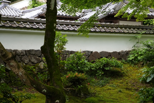 清瀧寺徳源院庭園｜小堀遠州作庭と伝わる美しい池泉回遊式庭園の魅力と見どころを完全ガイド