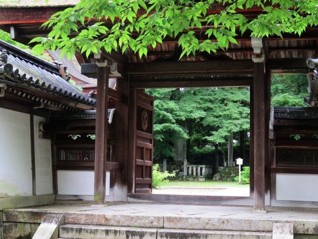 西教寺庭園｜小堀遠州作庭による名園と明智光秀ゆかりの古刹の魅力を完全ガイド