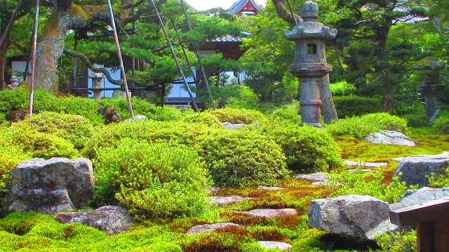 天野山金剛寺本坊庭園｜美しい日本庭園の魅力と見どころ、拝観案内を徹底紹介