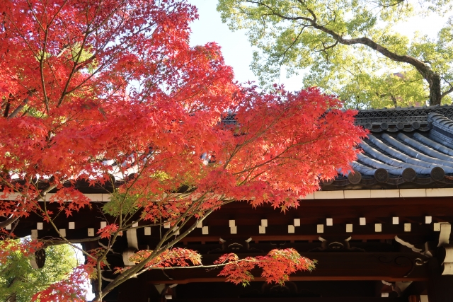 旧藤田邸庭園（藤田邸跡公園）｜明治の財閥邸宅庭園が蘇る歴史と自然が織りなす名所を完全ガイド