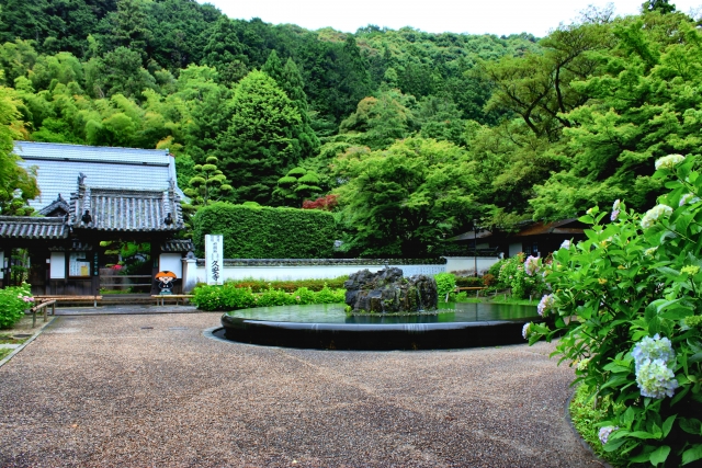 久安寺｜歴史ある古刹の魅力と美しい庭園、季節の花々と参拝案内を完全ガイド
