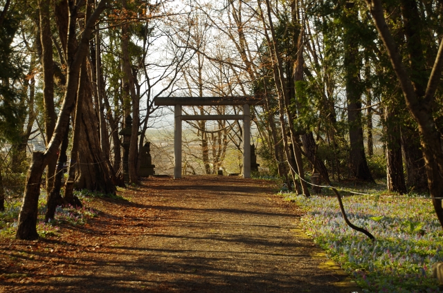 浦臼神社｜北海道空知の由緒ある神社の歴史と春の絶景、参拝情報を完全ガイド