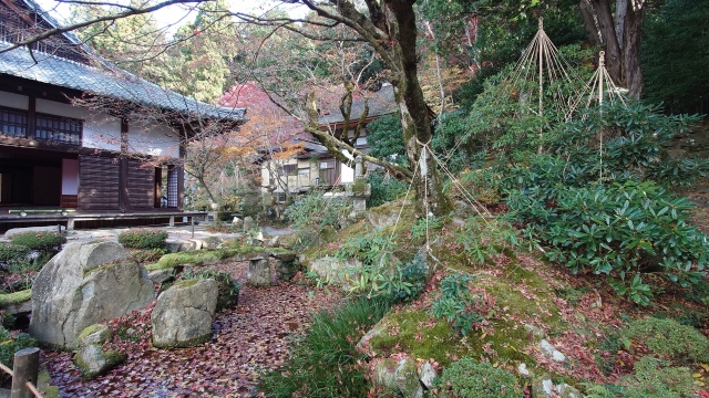 金剛輪寺庭園｜湖東三山の名刹が誇る美しい日本庭園の魅力と見どころ、拝観案内を徹底紹介