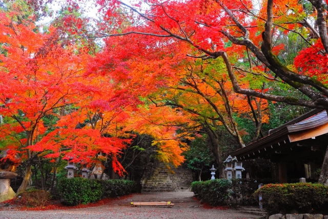 胡宮神社社務所庭園｜国指定名勝の美しい日本庭園の魅力と見どころ、拝観案内を詳しく解説