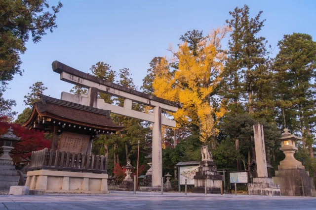 多賀大社奥書院庭園｜豊臣秀吉ゆかりの美しい名勝庭園の魅力と拝観案内を完全ガイド