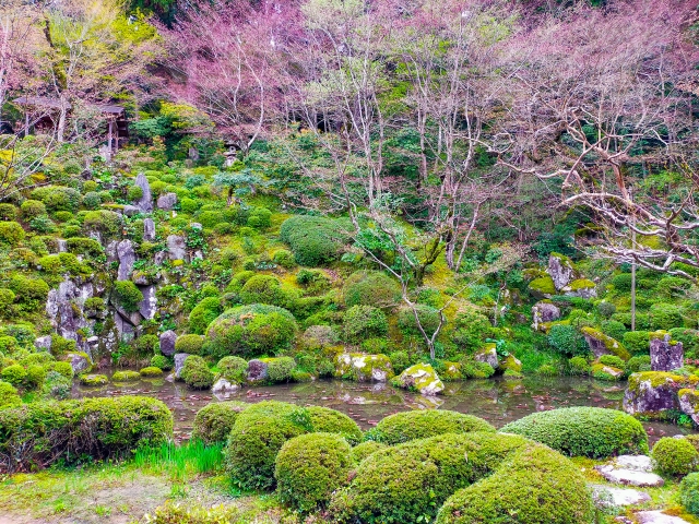 金剛輪寺明壽院庭園｜近江路一の美しい日本庭園の魅力と見どころ、拝観案内を徹底紹介