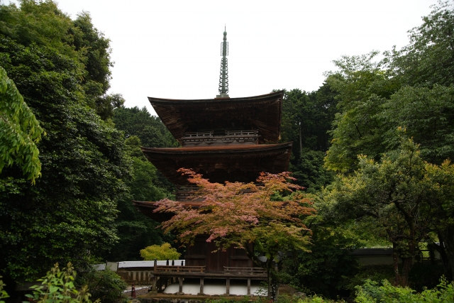 清瀧寺徳源院庭園｜小堀遠州作庭と伝わる美しい池泉回遊式庭園の魅力と見どころを完全ガイド
