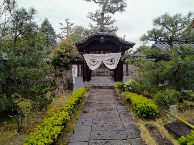 南宗寺庭園｜古田織部作庭と伝わる名勝枯山水の魅力と拝観案内を詳しく解説