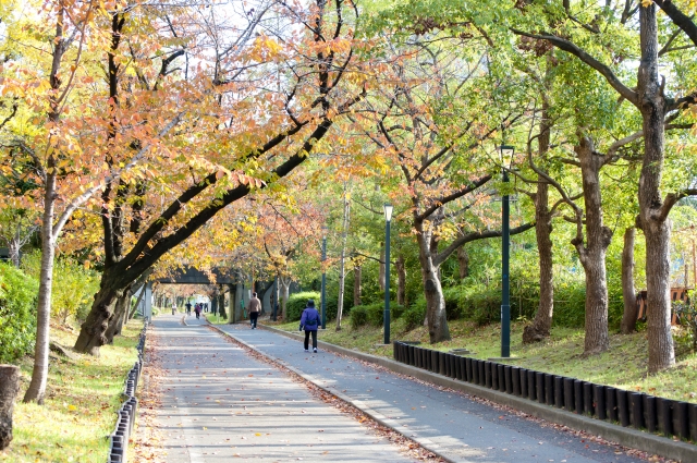 毛馬桜之宮公園｜大川沿いに広がる水と桜の名所、散策・ジョギングコースを完全ガイド