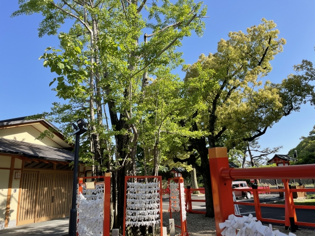 方違神社｜由緒ある方災除けの神社の歴史と見どころ、参拝情報を完全ガイド