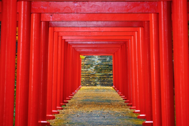 札幌伏見稲荷神社｜27基の朱い鳥居が美しい北海道のパワースポットの魅力と参拝ガイド