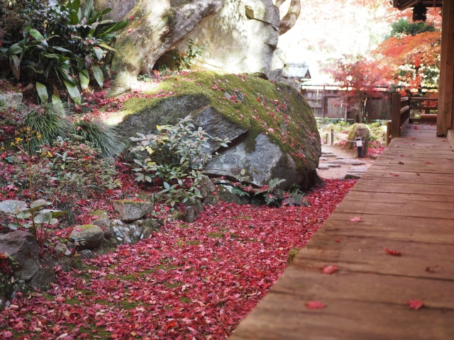 教林坊庭園｜小堀遠州作庭の名勝と紅葉の絶景、聖徳太子ゆかりの石の寺を完全ガイド