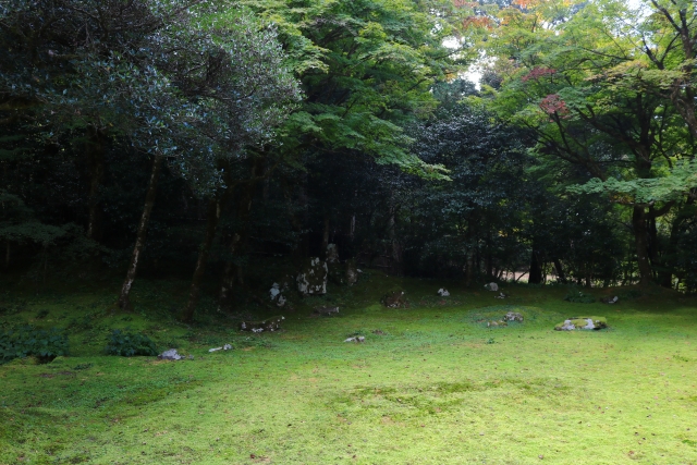 近江孤篷庵｜小堀遠州ゆかりの古刹と名勝庭園の魅力を完全ガイド