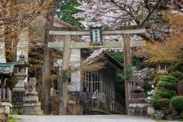 胡宮神社社務所庭園｜国指定名勝の美しい日本庭園の魅力と見どころ、拝観案内を詳しく解説
