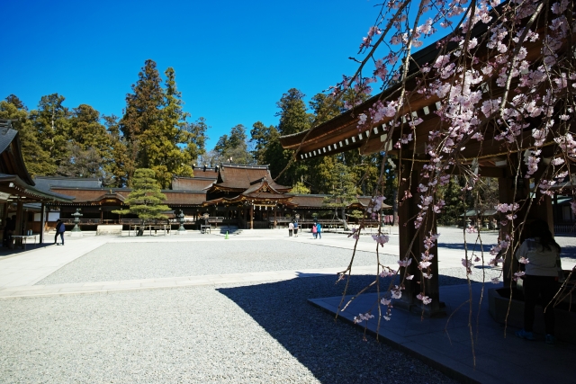 多賀大社奥書院庭園｜豊臣秀吉ゆかりの美しい名勝庭園の魅力と拝観案内を完全ガイド