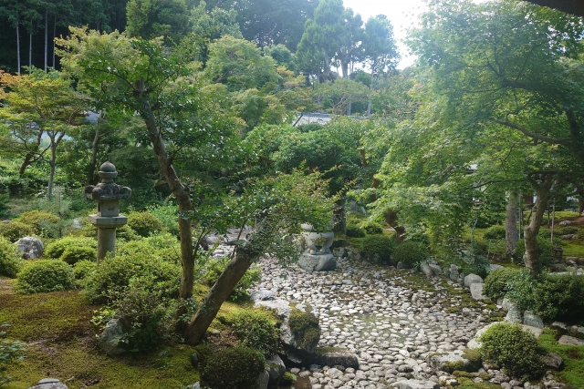 天野山金剛寺本坊庭園｜美しい日本庭園の魅力と見どころ、拝観案内を徹底紹介