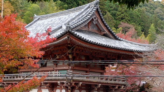 久安寺｜歴史ある古刹の魅力と美しい庭園、季節の花々と参拝案内を完全ガイド