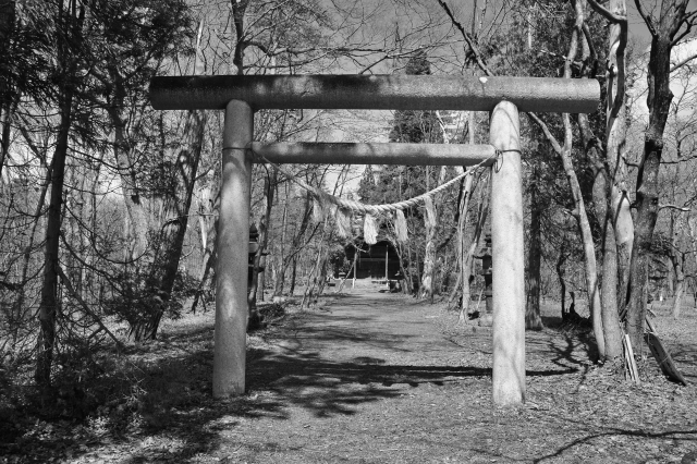 浦臼神社｜北海道空知の由緒ある神社の歴史と春の絶景、参拝情報を完全ガイド