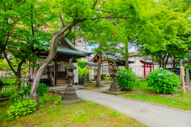 善知鳥神社｜由緒ある神社の歴史と見どころ、参拝情報を完全ガイド