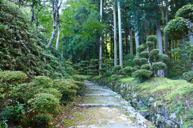 近江孤篷庵｜小堀遠州ゆかりの古刹と名勝庭園の魅力を完全ガイド