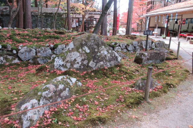 金剛輪寺庭園｜湖東三山の名刹が誇る美しい日本庭園の魅力と見どころ、拝観案内を徹底紹介