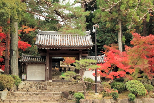 西明寺本坊庭園「蓬萊庭」｜国指定名勝の美しい日本庭園の魅力と見どころ、拝観案内を徹底紹介