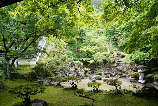 清瀧寺徳源院庭園｜小堀遠州作庭と伝わる美しい池泉回遊式庭園の魅力と見どころを完全ガイド