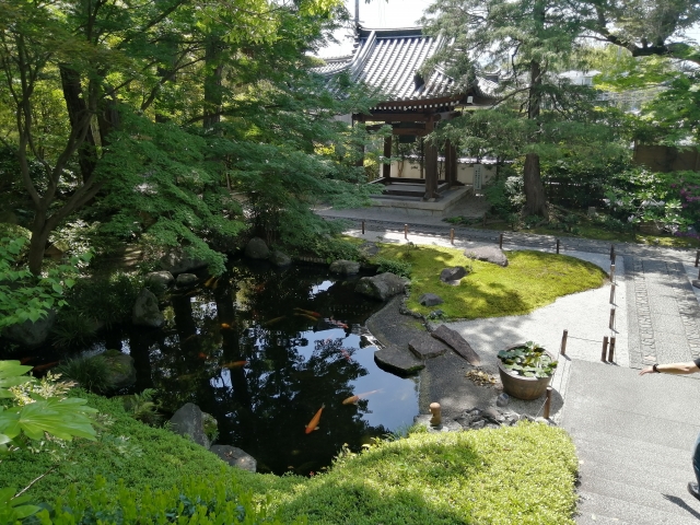 尊鉢厄神 釈迦院庭園｜荒木芳邦作庭の美しい庭園と奈良時代創建の古刹の魅力を完全ガイド