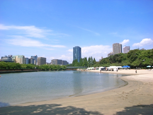 毛馬桜之宮公園｜大川沿いに広がる水と桜の名所、散策・ジョギングコースを完全ガイド