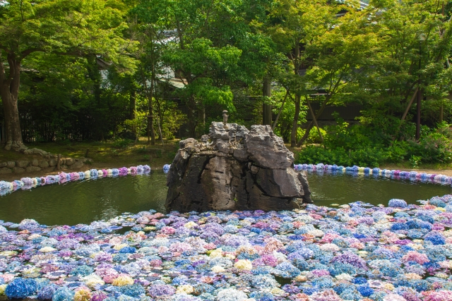 久安寺｜歴史ある古刹の魅力と美しい庭園、季節の花々と参拝案内を完全ガイド