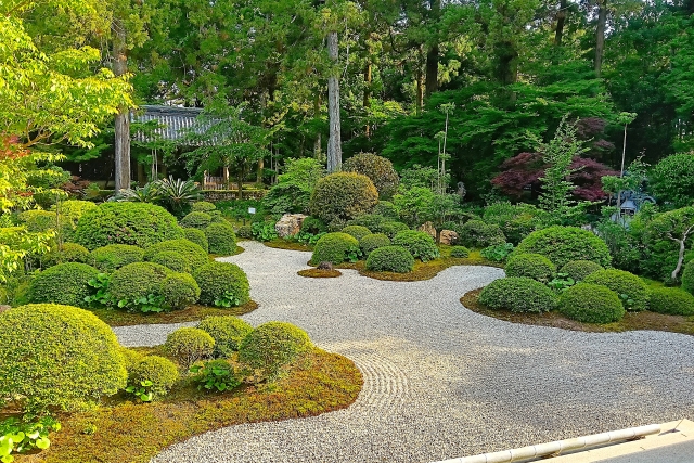 龍潭寺｜井伊家ゆかりの寺院と美しい庭園の魅力を完全ガイド