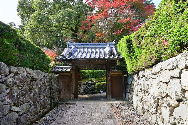 旧竹林院庭園｜国指定名勝「延暦寺坂本里坊庭園」最大規模の池泉回遊式庭園を完全ガイド