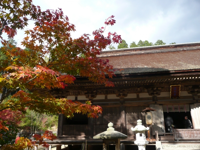 岩根山善水寺｜湖南三山の古刹と美しい庭園の魅力を完全ガイド