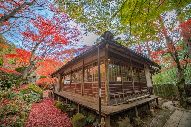 教林坊庭園｜小堀遠州作庭の名勝と紅葉の絶景、聖徳太子ゆかりの石の寺を完全ガイド