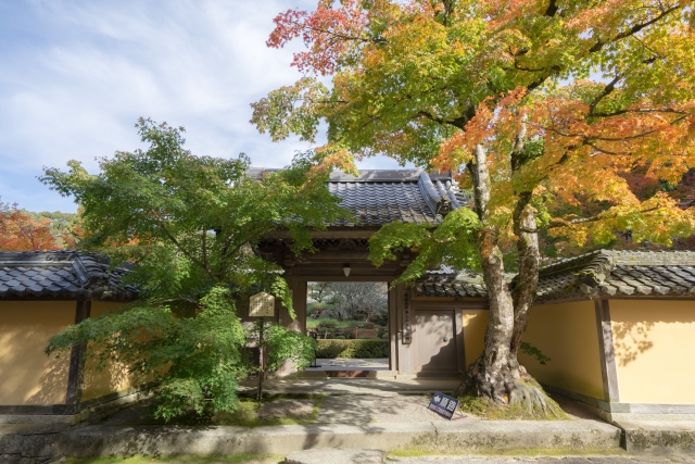 西明寺本坊庭園「蓬萊庭」｜国指定名勝の美しい日本庭園の魅力と見どころ、拝観案内を徹底紹介