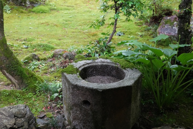 清瀧寺徳源院庭園｜小堀遠州作庭と伝わる美しい池泉回遊式庭園の魅力と見どころを完全ガイド