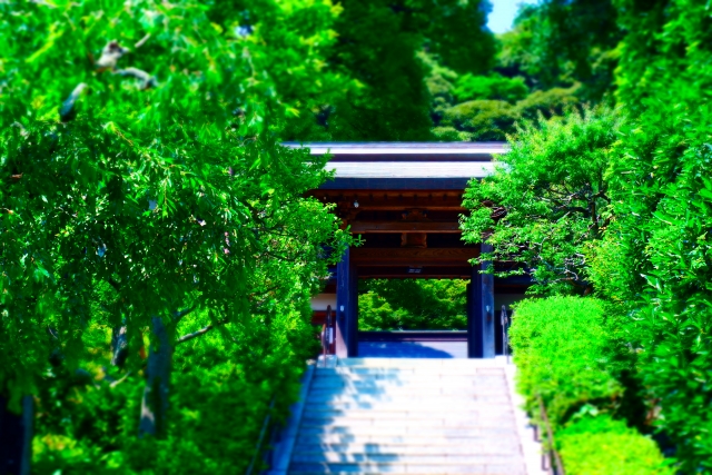 荏柄天神社｜日本三古天神の一つとして知られる学問の神社の歴史と見どころ、参拝情報を完全ガイド