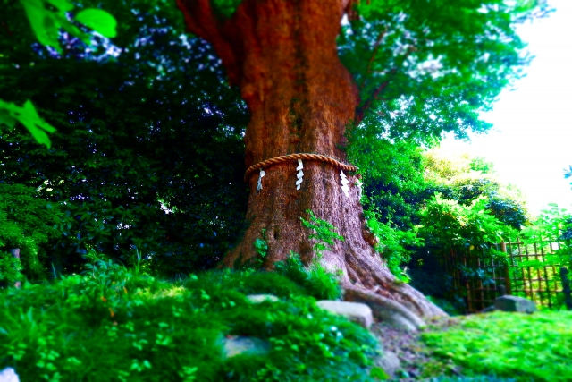 荏柄天神社｜日本三古天神の一つとして知られる学問の神社の歴史と見どころ、参拝情報を完全ガイド