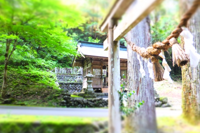 Hoshinomiya Shrine (Shimono-shi)｜Complete guide to the history, highlights, and worship information of this historic shrine