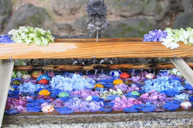 玉村八幡宮｜由緒ある神社の歴史と見どころ、参拝情報を完全ガイド