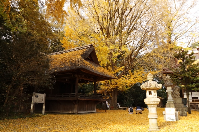 玉敷神社｜由緒ある神社の歴史と見どころ、参拝情報を完全ガイド