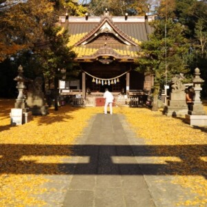 玉敷神社｜由緒ある神社の歴史と見どころ、参拝情報を完全ガイド