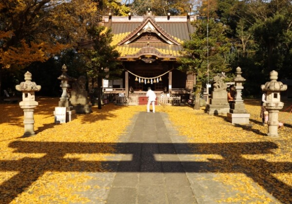 玉敷神社｜由緒ある神社の歴史と見どころ、参拝情報を完全ガイド