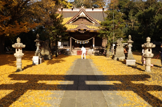 玉敷神社｜由緒ある神社の歴史と見どころ、参拝情報を完全ガイド