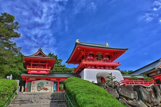 アクセス・利用情報