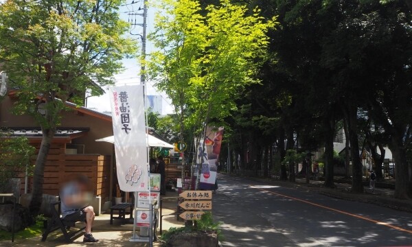 武蔵一宮氷川神社｜日本一長い参道を持つ由緒ある古社の歴史と見どころ、参拝情報を完全ガイド