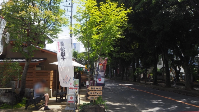 武蔵一宮氷川神社|日本一長い参道を持つ由緒ある古社の歴史と見どころ、参拝情報を完全ガイド